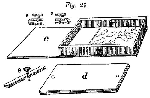 Fig. 29 (HIPHO_29.jpg)