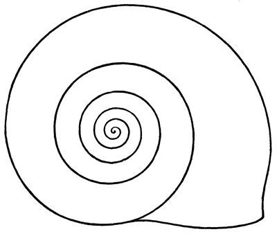 shell shell