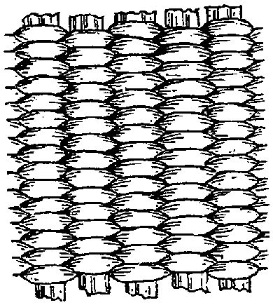 Fig. 293. Surface relief produced by horizontal series crowded together