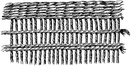 Fig. 308. Incipient stage of reticulated ornament