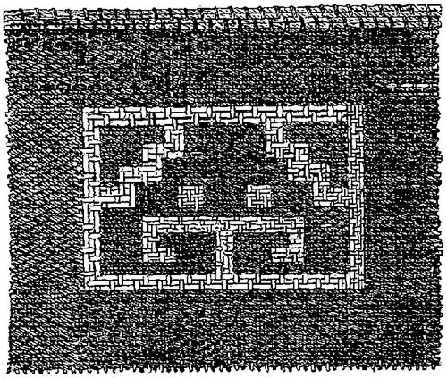 Fig. 334. Piece of cotton cloth showing the use of a supplementary web and woof